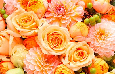 blumen-schoenleber_altdorf_gaertnerei_floristik